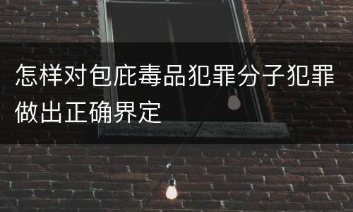 怎样对包庇毒品犯罪分子犯罪做出正确界定