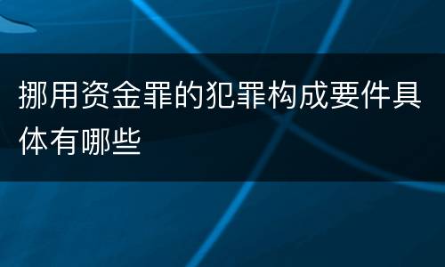 挪用资金罪的犯罪构成要件具体有哪些
