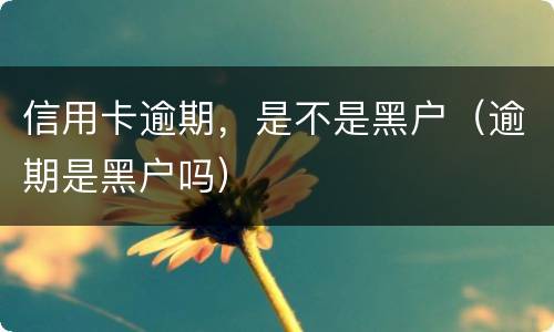 信用卡逾期，是不是黑户（逾期是黑户吗）