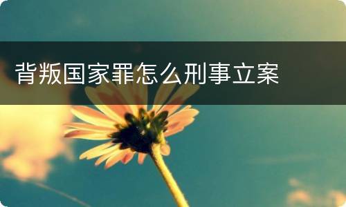 背叛国家罪怎么刑事立案