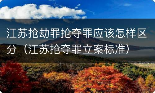 江苏抢劫罪抢夺罪应该怎样区分（江苏抢夺罪立案标准）