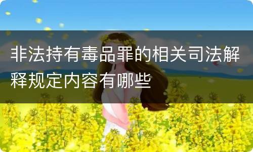 非法持有毒品罪的相关司法解释规定内容有哪些
