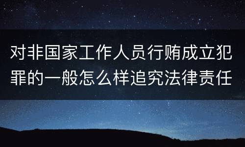 对非国家工作人员行贿成立犯罪的一般怎么样追究法律责任
