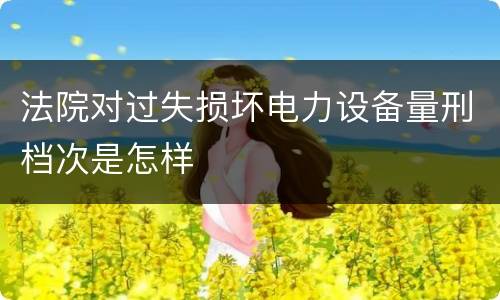 法院对过失损坏电力设备量刑档次是怎样