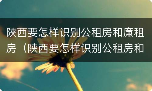 陕西要怎样识别公租房和廉租房（陕西要怎样识别公租房和廉租房的区别）