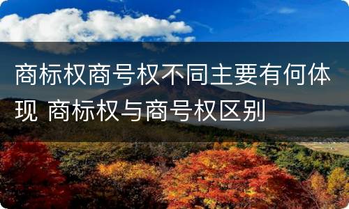 商标权商号权不同主要有何体现 商标权与商号权区别