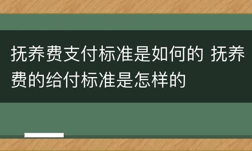 抚养费支付标准是如何的 抚养费的给付标准是怎样的