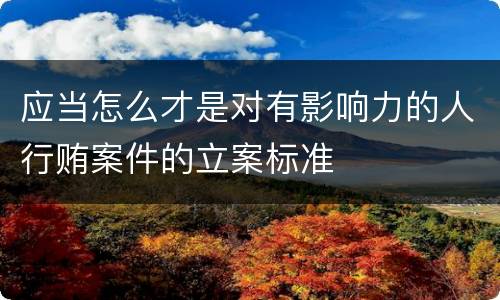 应当怎么才是对有影响力的人行贿案件的立案标准