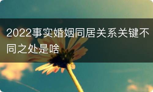 2022事实婚姻同居关系关键不同之处是啥