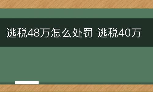 逃税48万怎么处罚 逃税40万
