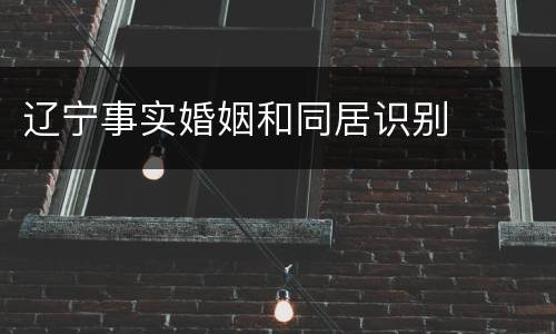 辽宁事实婚姻和同居识别