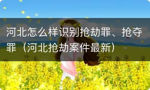 河北怎么样识别抢劫罪、抢夺罪（河北抢劫案件最新）