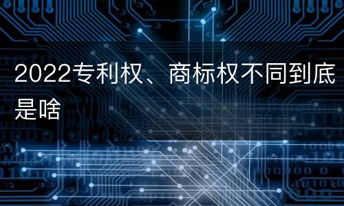 2022专利权、商标权不同到底是啥