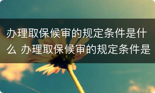 办理取保候审的规定条件是什么 办理取保候审的规定条件是什么意思