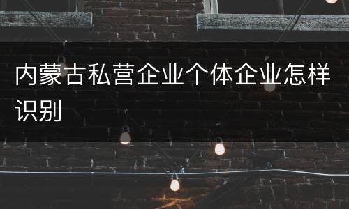 内蒙古私营企业个体企业怎样识别