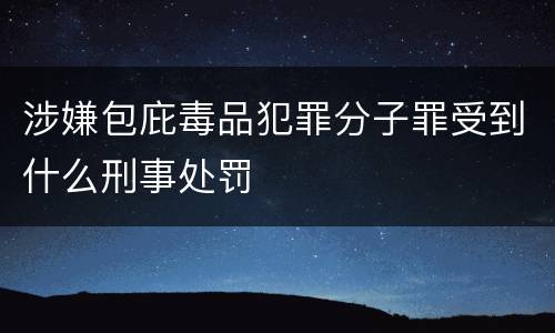 涉嫌包庇毒品犯罪分子罪受到什么刑事处罚