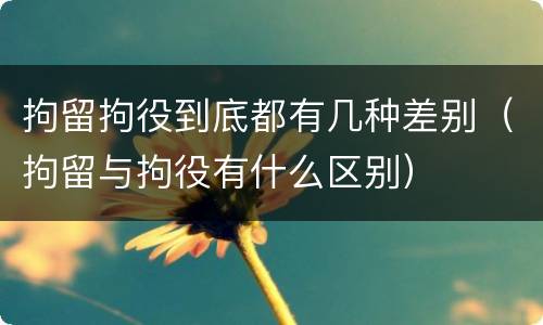 拘留拘役到底都有几种差别（拘留与拘役有什么区别）