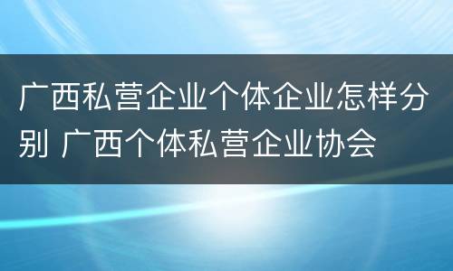 广西私营企业个体企业怎样分别 广西个体私营企业协会