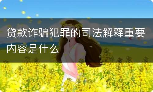 贷款诈骗犯罪的司法解释重要内容是什么