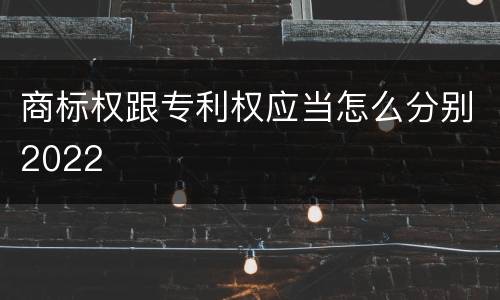 商标权跟专利权应当怎么分别2022