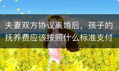 夫妻双方协议离婚后，孩子的抚养费应该按照什么标准支付