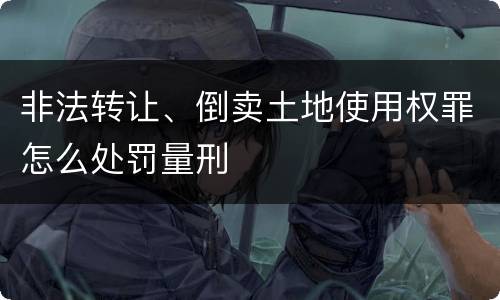 非法转让、倒卖土地使用权罪怎么处罚量刑