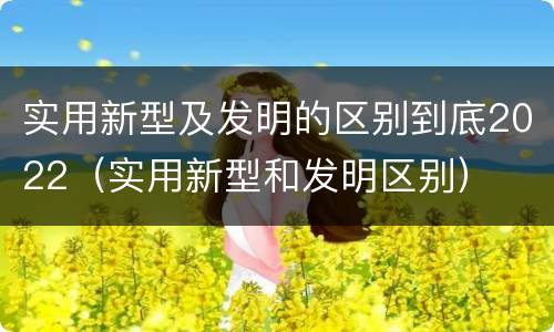 实用新型及发明的区别到底2022（实用新型和发明区别）