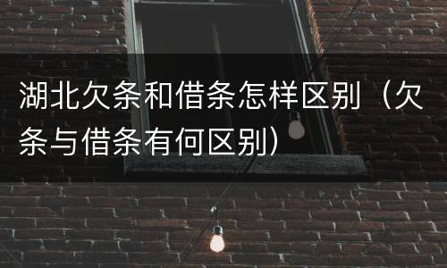 湖北欠条和借条怎样区别（欠条与借条有何区别）