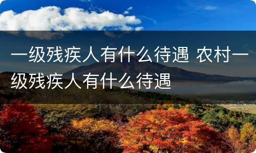 一级残疾人有什么待遇 农村一级残疾人有什么待遇