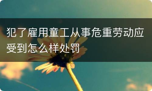 犯了雇用童工从事危重劳动应受到怎么样处罚