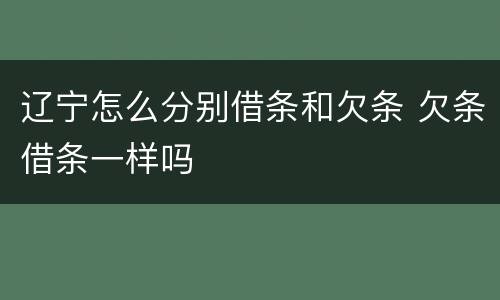辽宁怎么分别借条和欠条 欠条借条一样吗