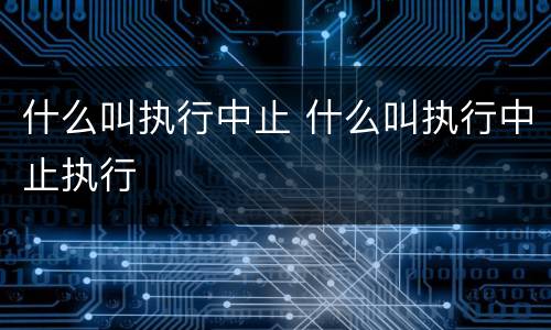 什么叫执行中止 什么叫执行中止执行