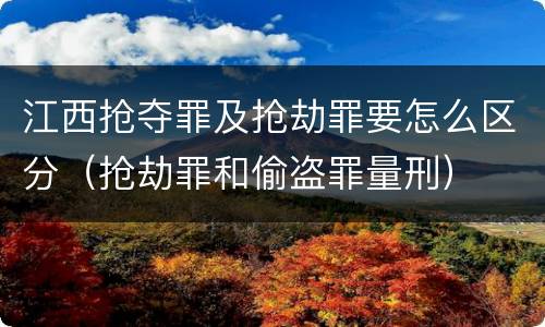 江西抢夺罪及抢劫罪要怎么区分（抢劫罪和偷盗罪量刑）