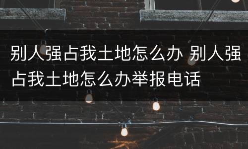 别人强占我土地怎么办 别人强占我土地怎么办举报电话