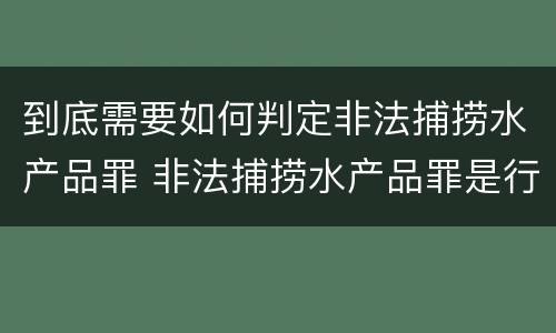 到底需要如何判定非法捕捞水产品罪 非法捕捞水产品罪是行为犯吗