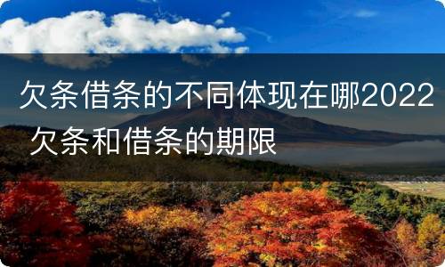 欠条借条的不同体现在哪2022 欠条和借条的期限