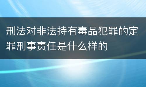 刑法对非法持有毒品犯罪的定罪刑事责任是什么样的
