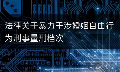 法律关于暴力干涉婚姻自由行为刑事量刑档次