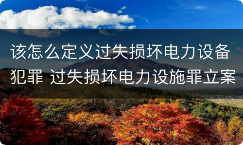 该怎么定义过失损坏电力设备犯罪 过失损坏电力设施罪立案标准