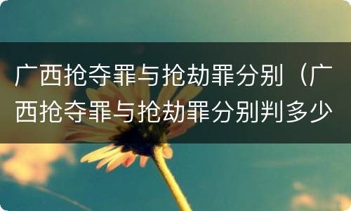 广西抢夺罪与抢劫罪分别（广西抢夺罪与抢劫罪分别判多少年）