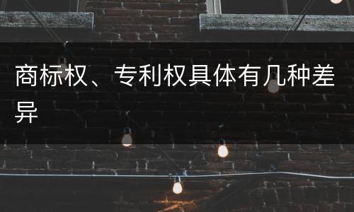 商标权、专利权具体有几种差异