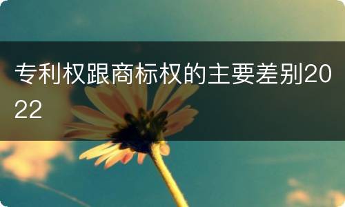 专利权跟商标权的主要差别2022