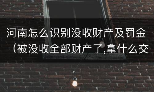 河南怎么识别没收财产及罚金（被没收全部财产了,拿什么交罚金）