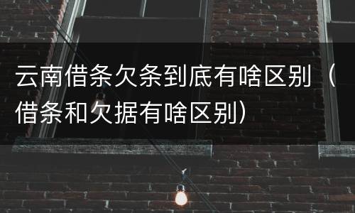 云南借条欠条到底有啥区别（借条和欠据有啥区别）