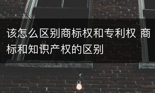 该怎么区别商标权和专利权 商标和知识产权的区别