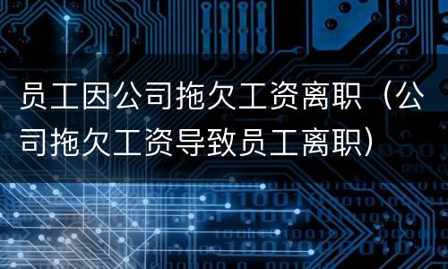 员工因公司拖欠工资离职（公司拖欠工资导致员工离职）