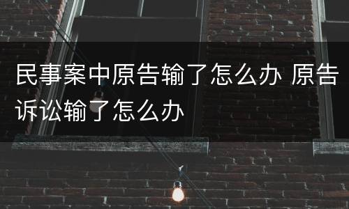 民事案中原告输了怎么办 原告诉讼输了怎么办