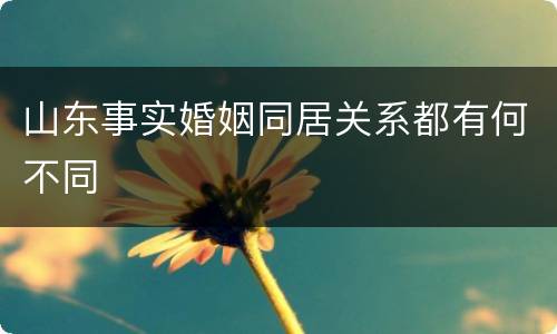 山东事实婚姻同居关系都有何不同