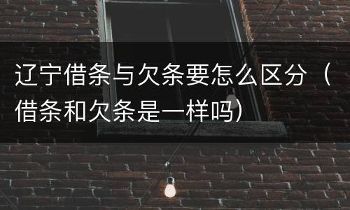 辽宁借条与欠条要怎么区分（借条和欠条是一样吗）