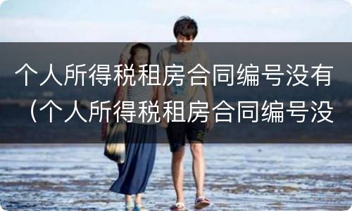 个人所得税租房合同编号没有（个人所得税租房合同编号没有怎么填）
